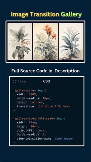 Fullscreen Image Gallery Animation 🔥 | View Transition API (HTML CSS JS)