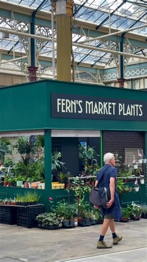 170 reactions · 29 shares | New in @halifax_borough_market Fern’s Market Place has just moved in and it’s a plant-lover’s dream — from cute little succulents to big bold houseplants (and pots to match). Find them right by the market clock ⏰ Pop in and give your windowsill or workspace a glow-up ✨ #DiscoverHx #HalifaxBoroughMarket #CalderdaleMarkets #PlantLovers #IndoorJungle #SupportLocal | Discover Halifax UK | Facebook