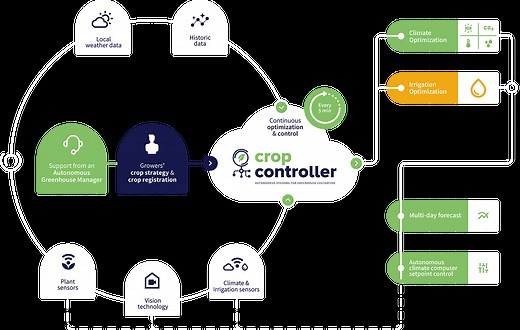 About us - Blue Radix