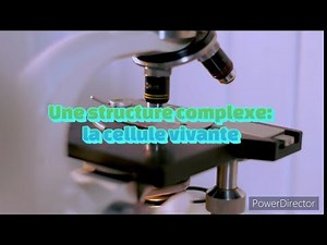 Enseignement scientifique: Une structure complexe: la cellule vivante