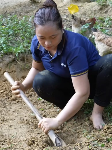 Building Wooden house For Goat - Goat Barn