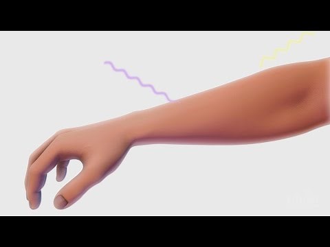 The Biology of Skin Color | HHMI BioInteractive Video