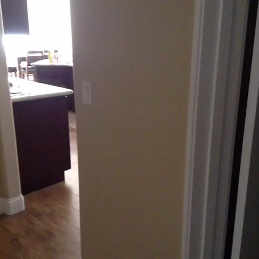 His scream 😂 (credit: Hayley C.) #summerpranks #prank #failarmy