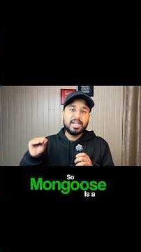 What is Mongoose in Node.js? |Why Node.js Developers Use Mongoose with MongoDB 🚀💻