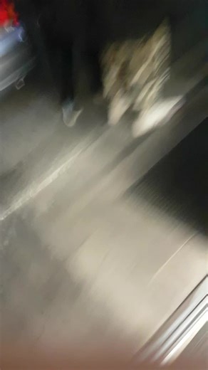 Videoclipuri postate de Ienciu Vasile Mugurel (@ienciu.vasile.mug) cu sunet original - Ienciu Vasile Mugurel