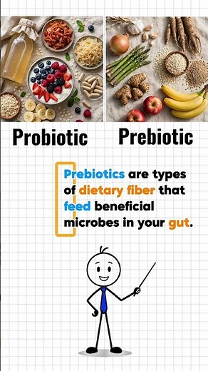 Probiotic vs. Prebiotic: The REAL Difference 🦠🥦