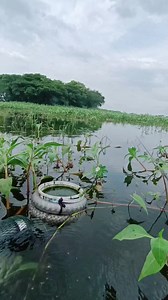 Fighter i adus e ning waduk jhond 🔥🔥🔥 #mancing #mancingmania #mancingliar #mancingnyobok #nyobok #hobimancing #ladyangler | Lelina Wijayanti