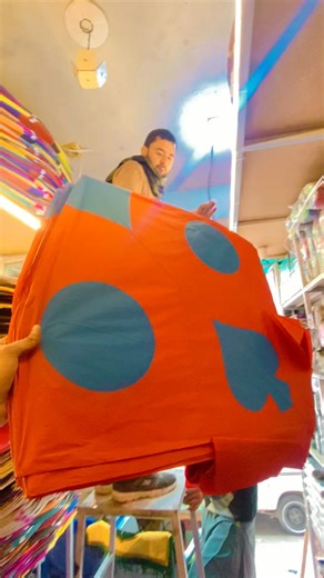 Kite Flying Festival Insights and Highlights