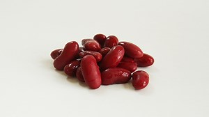 How to Introduce Beans to Your Baby