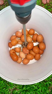 Faster Way to Whisk Your Eggs