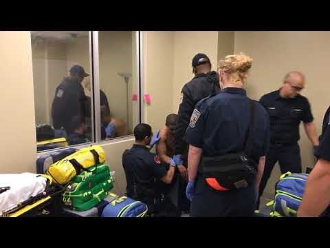 Paramedic Interns Working Toward Advanced Life Support Provider Authorization