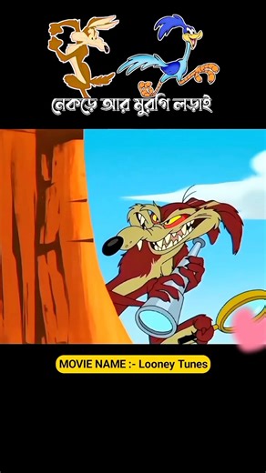 The fight between the wolf and the clever chicken#shorts#shortsfeed#cartoon#banglacartoon
