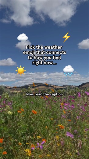 Embrace Your Emotions: Weathering Life's Storms Mindfully