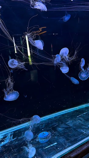 Alien Coffee on Reels