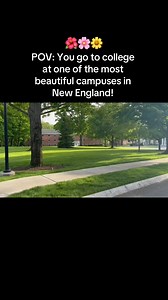 The vibe is real! ❤🌳🌺☀️ | Bay Path University