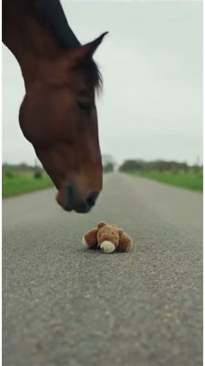 What the Rearview Mirror Shows on a Country Drive.