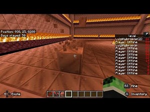 Minecraft Bedrock hand animation bug 1.21.131