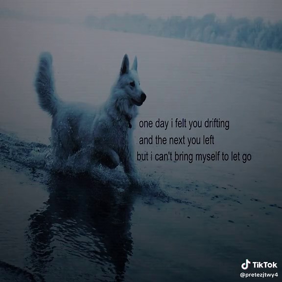 Relatable Canine Poetry: A Heartfelt Expression