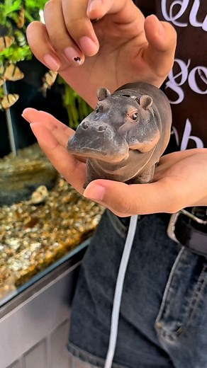 mixdazzle on Instagram