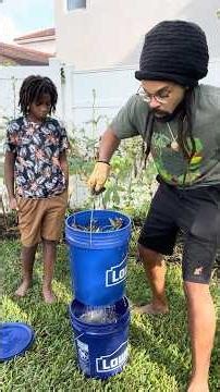 Making a natural compost tea fertilizer with our son...