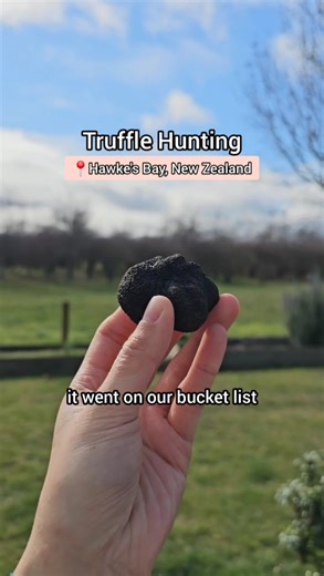 This truffle-hunting experience comes with a 5-course truffle lunch | Hawkes Bay, Aotearoa