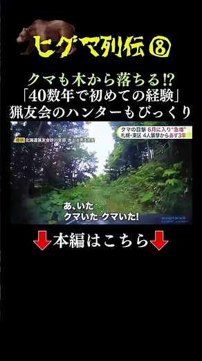 👆Click here for the full story👆 A bear fell from a tree beside a forest road in front of a moving...