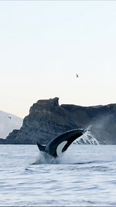 10K views · 10K reactions | Learn from my mistakes in a 20+ year...