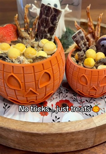 🎃 The Freezbone FreezPumpkin turns your dog’s favorite treats into a frozen enrichment activity. Add yogurt, pumpkin, goat milk, broth, or kibble, freeze it, and let the licking begin! @Freezbone @Freezbone Fans Club #FreezPumpkin #Freezbone #DogEnrichmentToy #DogMomFinds #TikTokShopFinds