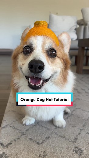 DIY Orange Dog Hat Tutorial