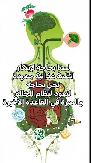أفضل نظام غذائي صحي متوازن بدون دايت قاسي..النظام الرباني #اكسبلور #صحي #مفيد