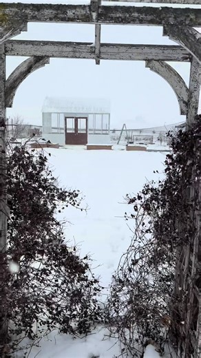 In Fall 2020, an idea hatched. Our youngest was 3 and I wanted to start growing flowers on a crazy level🤭 So spring 2021..my husband helped me build a garden and I’ve been adding to it ever since. Winter 2024-2025 felt especially long.. so Harley and I started talking about maybe adding a greenhouse somewhere around the garden to garden in year round. Fall 2025 we started building a greenhouse completely from scratch. Harley created the plans for it and I’ve just been helping, telling him what 