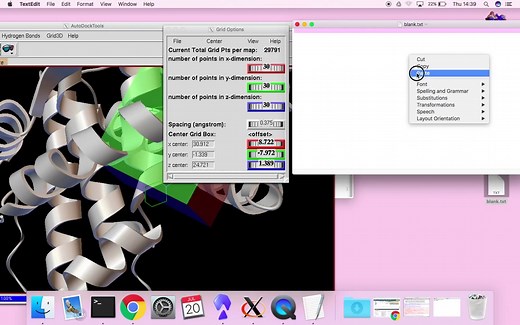 AutoDock vina的使用，柔性对接，结合口袋对接，可视化