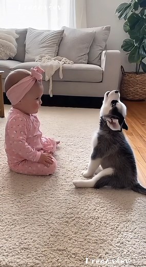 100K views · 2.3K reactions | Little wolf and her furry friend!   100% AI video for fun & laughs! Every scene is digitally created — no real animals, babies, or people.  Enjoy and share!  No reuploads. #AIreel #AIfunny #AIanimals #AIfun #CreativeAI #AIvideo #AImagic | Dreamview Productions | Facebook