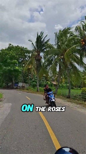 Alan Jackson in the garden lyrics video