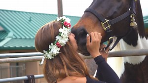 Grade 10 Personal Project