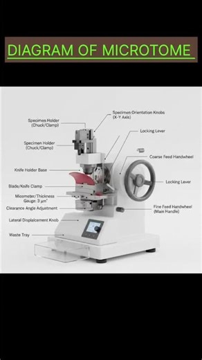 DIAGRAM OF MICROTOME!!#microtonal #pharmaceuticals #lab#instrumental #diagram #prectical #science