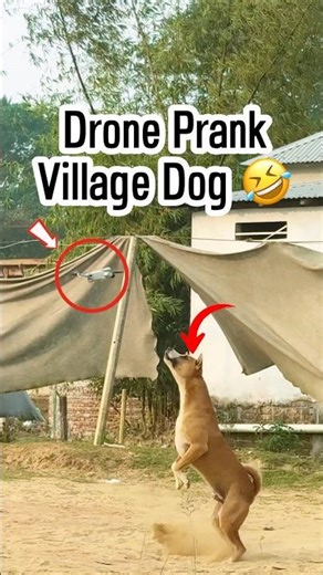 Drone prank: See these hilarious reactions! 🤣 #shorts #youtubeshorts #drone #prank #funny #comedy