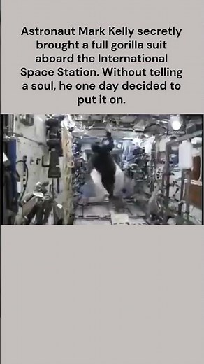 🚀 Gorilla in Space ! Mark Kelly’s Hilarious ISS Prank