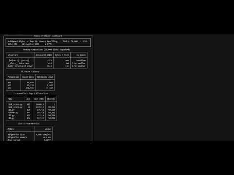 Day 20: Memory Profiling Optimizing Data Structures for RAM