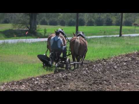 FARMER PLOWING WITH HORSES