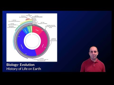 K-Bio Evolution 11: Patterns in Life's History