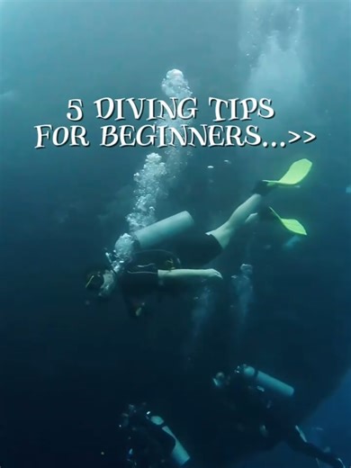 Want to start your diving journey? Check out these 5 beginner-friendly tips that every new diver needs to know 🐠 Your safety is our priority! #adventurediversbali #scuba #scubaamed #scubainamed #diving #amedscuba #amedbali #balidiving #baliscubadiving #ameddiving #divingtrip #divingcourse #divingindonesia #scubadive #scubamoment #oceanlovers #tryscuba #fundive #openwatercourse #openwater #refresh #diveandexplore #divespot #plongée #tauchen #дайвинг #oceanparadise #padi #ssi #divingsafety