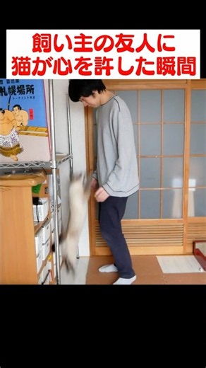 飼い主の友人に猫が心を許した瞬間
