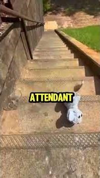 The Self Checkout Disaster #storytime #shorts #funny #reddit