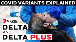 The Delta and Delta PLUS COVID Variant explained