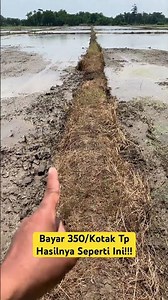 Seriously...!!! Pay a lot, but this is what it ends up with #TractorLearning