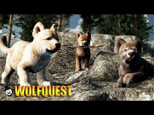 NASCERAM 7 FILHOTES - WolfQuest Anniversary Edition