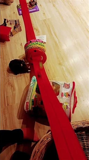 závody s autama#fun#cars