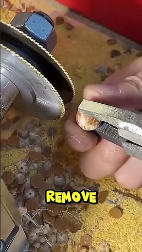 How specialized electric cutters efficiently remove shells from individual hazelnuts