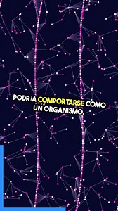 18K views · 765 reactions | El universo podría comportarse como un organismo gigante, con estructuras cósmicas similares a redes neuronales. ¿Podría el cosmos tener inteligencia emergente o evolucionar con el tiempo? Aunque no hay pruebas de que el universo esté vivo, esta idea nos hace repensar nuestra visión del cosmos. #Universo #MisteriosDelEspacio #Ciencia #Astronomía #FísicaCuántica | Archivo 51 | Facebook